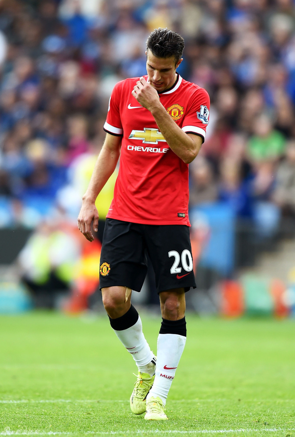 林益全赛季表现